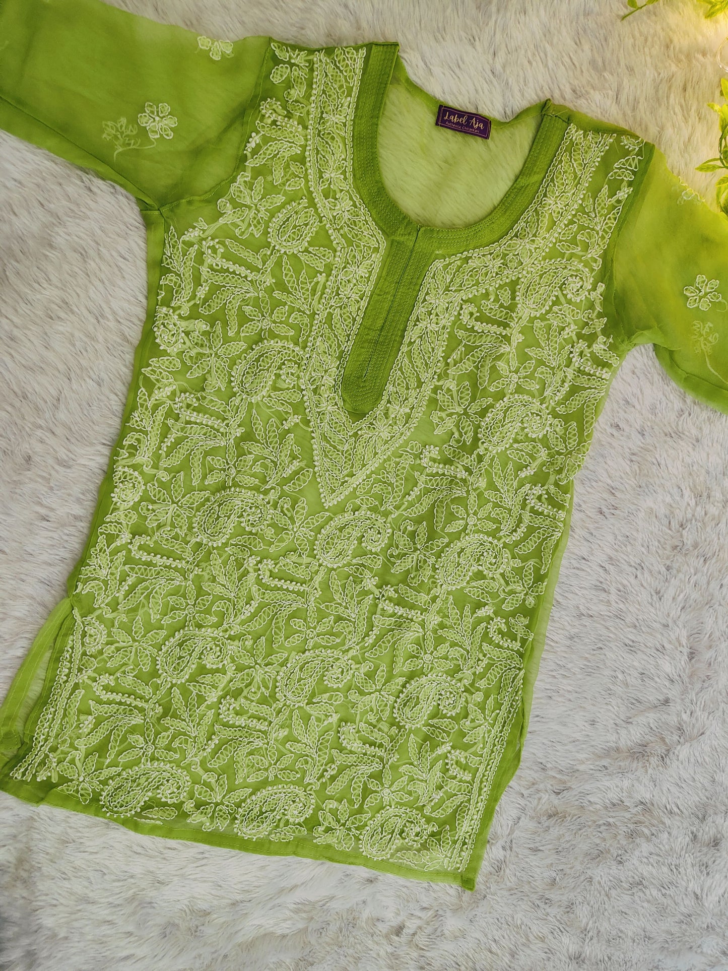 Riva Georgette Chikankari short kurti with slip