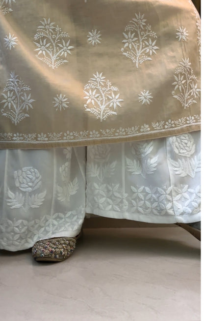 Kalidar Chikankari Pallazo