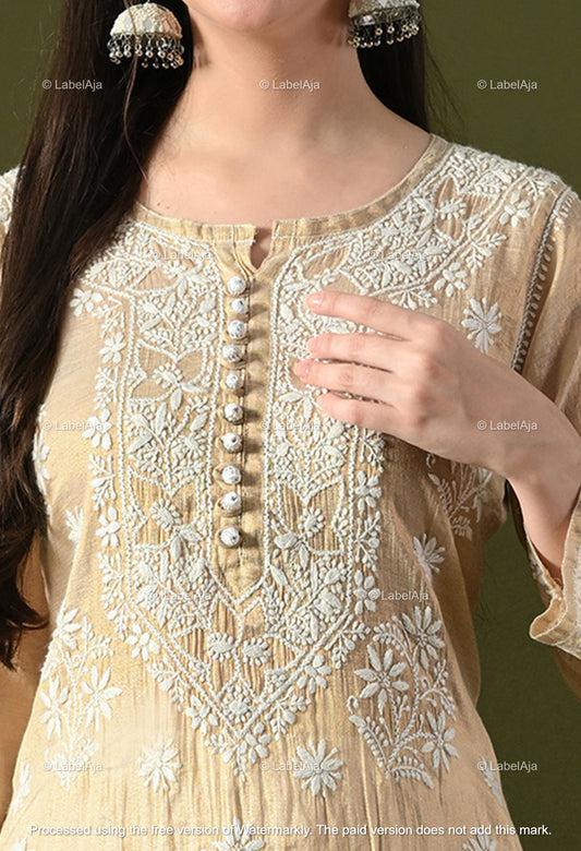 Tissue Chikankari Premium Kurta